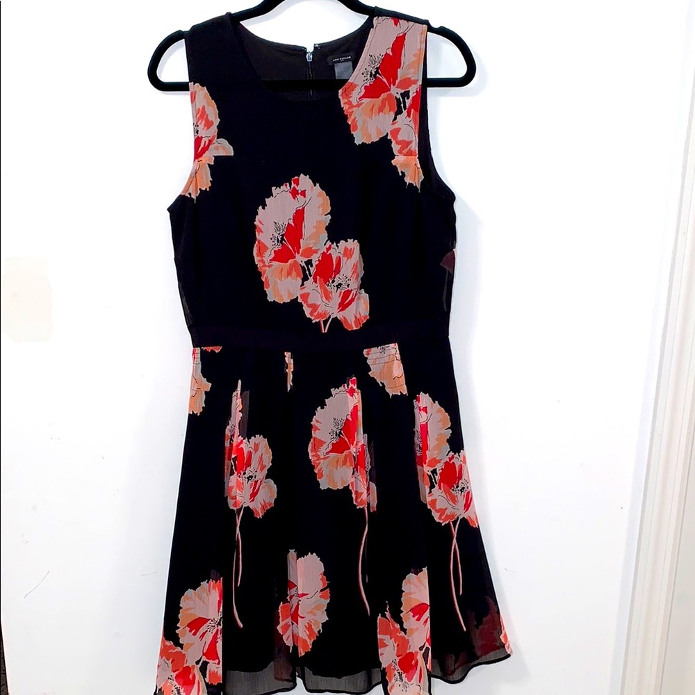 Ann Taylor Floral Sleeveless Dress - Black and Red